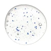 HADAT Microcapsules Shampoo | Atjaunojošs Šampūns ar Mikrokapsulām 250 ml / 800 ml