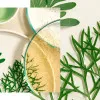 Natura Bissé Tolerance Recovery Cream | Nomierinošs atjaunojošs krēms jutīgai ādai 50 ml