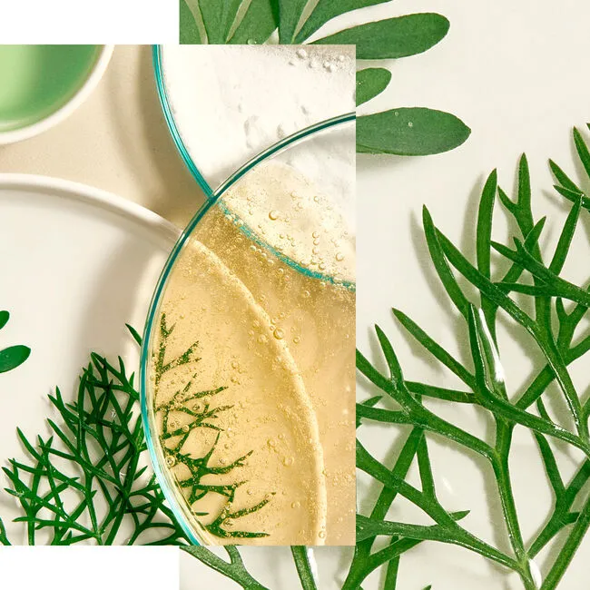 Natura Bissé Tolerance Recovery Cream | Nomierinošs atjaunojošs krēms jutīgai ādai 50 ml