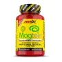 AmixPro Magtein Magnesium L-Threonate | Магний L-треонат 90 капсул