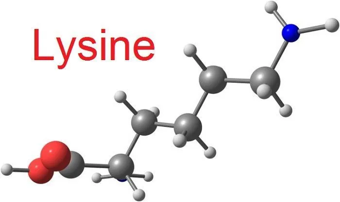 Лизин L-Lysine аминокислота