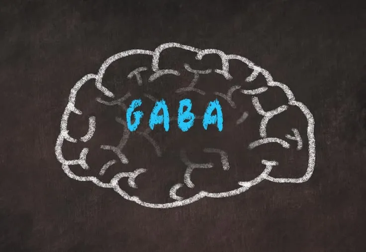 GABA uztura bagātinātāji