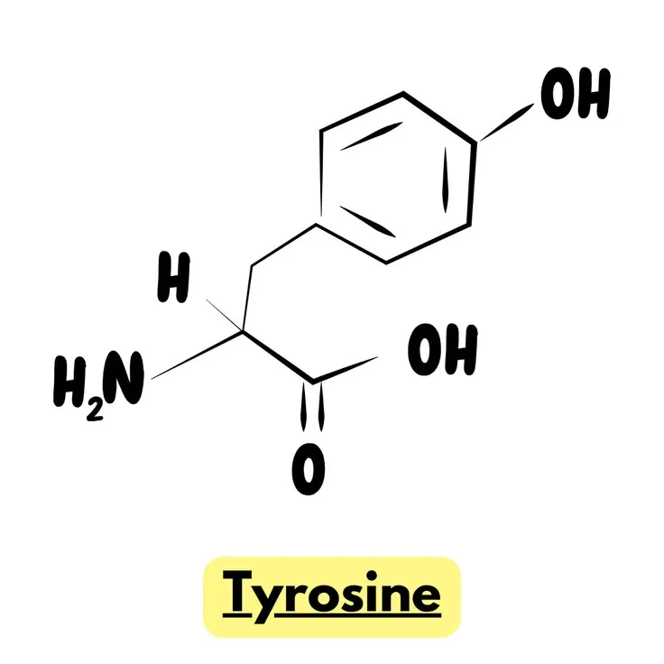 Тирозин L-Tyrosine