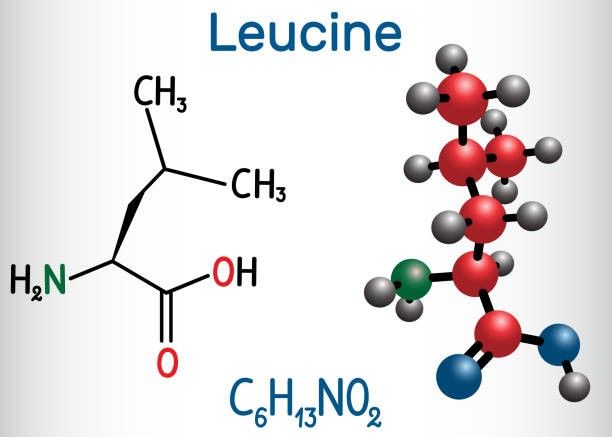 Leutsiin L-Leucine aminohape